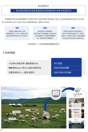 标签方案